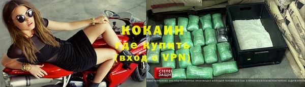 кокс Дмитриев