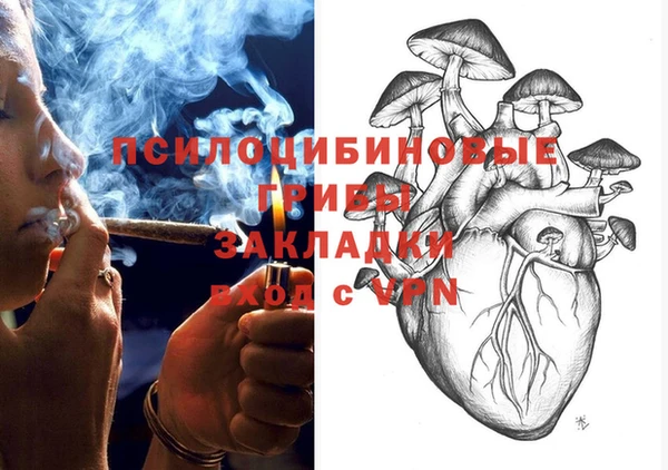 кокс Дмитриев