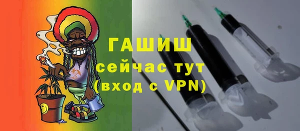 мдпв Ельня