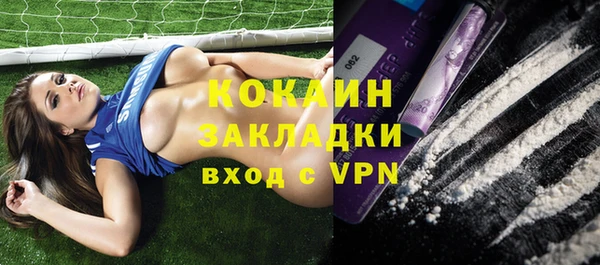 кокс Дмитриев
