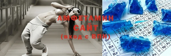 мдпв Ельня