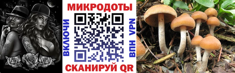 Галлюциногенные грибы ЛСД hydra tor Электроугли